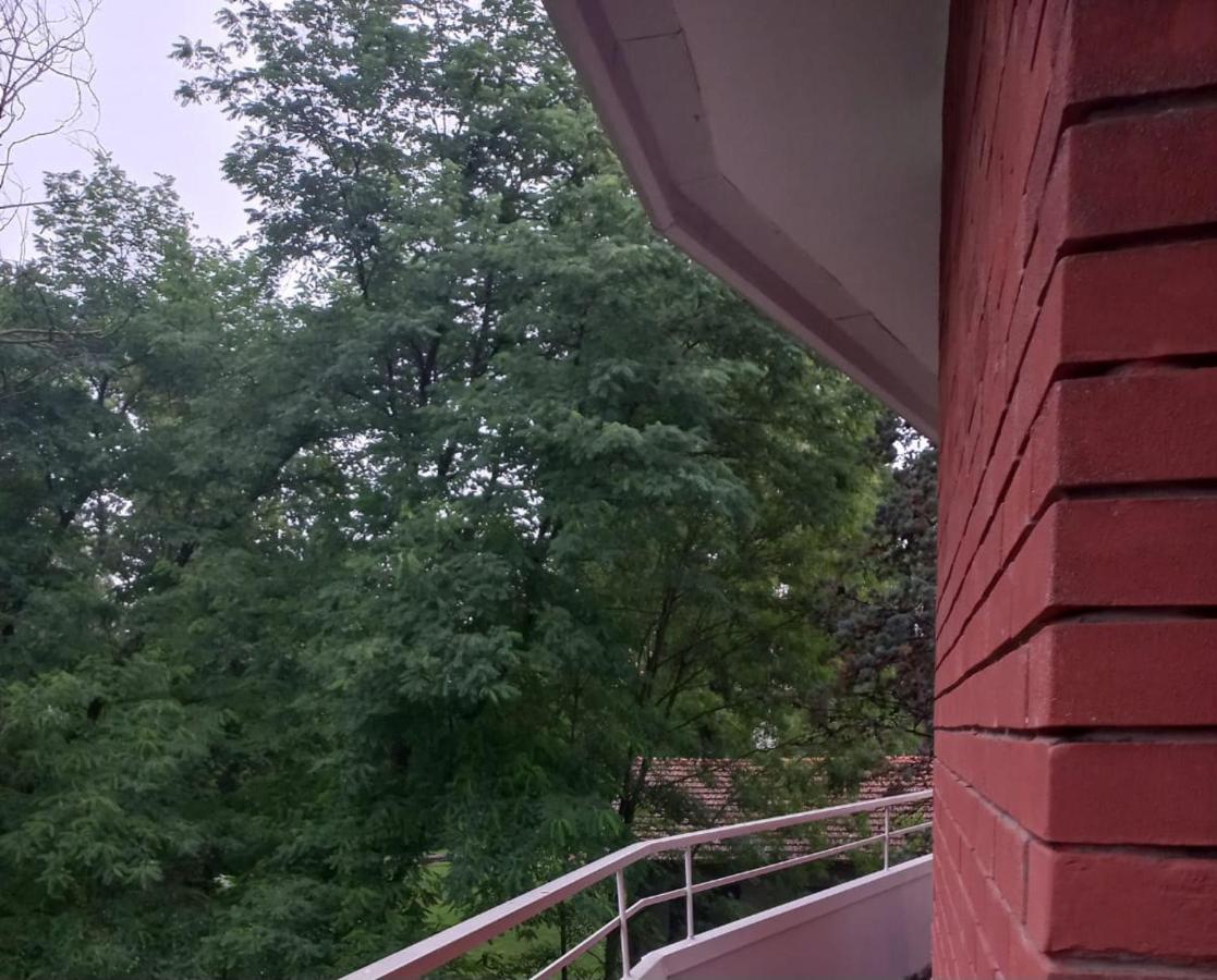 Lake Maggiore 2 Minutes Apartment دورميلّيتّو المظهر الخارجي الصورة